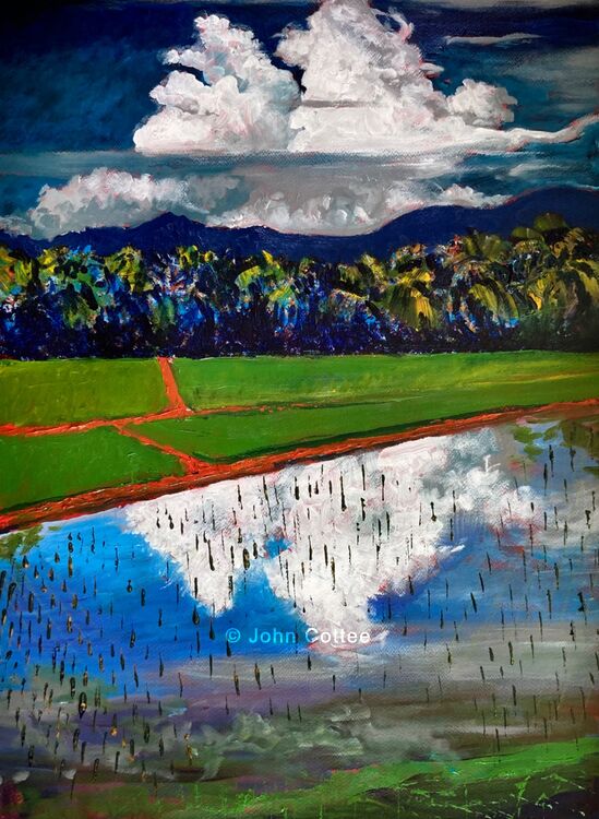 Clouds & rice