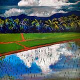 Clouds & rice