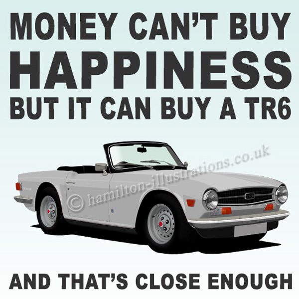 TR6 White Happiness White HT421