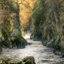 Fairy Glen