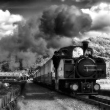 Earl of Merioneth on the Cob