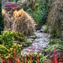 Winter Garden at Bodmant