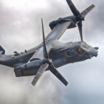 Osprey at the Mach Loop