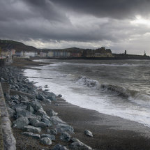 Wild Aberystwyth