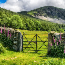 Country Gate at Aber Falls