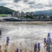 Conwy Castle Framed