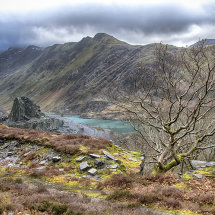 Wild Snowdonia