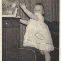 Before removal of marks and scratches