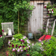 Cottage Garden