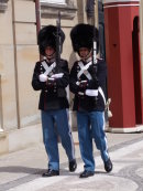 Danish Royal Guards