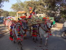 Shin Pyu Ceremony