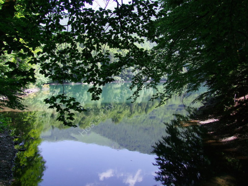 Reflections, Biogradska Gora National Park Lake