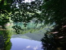 Reflections, Biogradska Gora National Park Lake