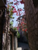 Street in Old Town Budva