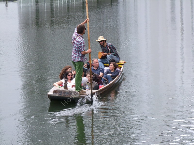 Taking a Punt!
