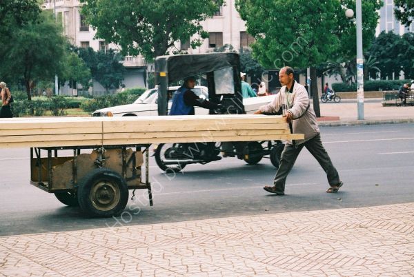 Transporting Timber, Casablanca