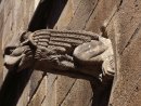 Gargoyle