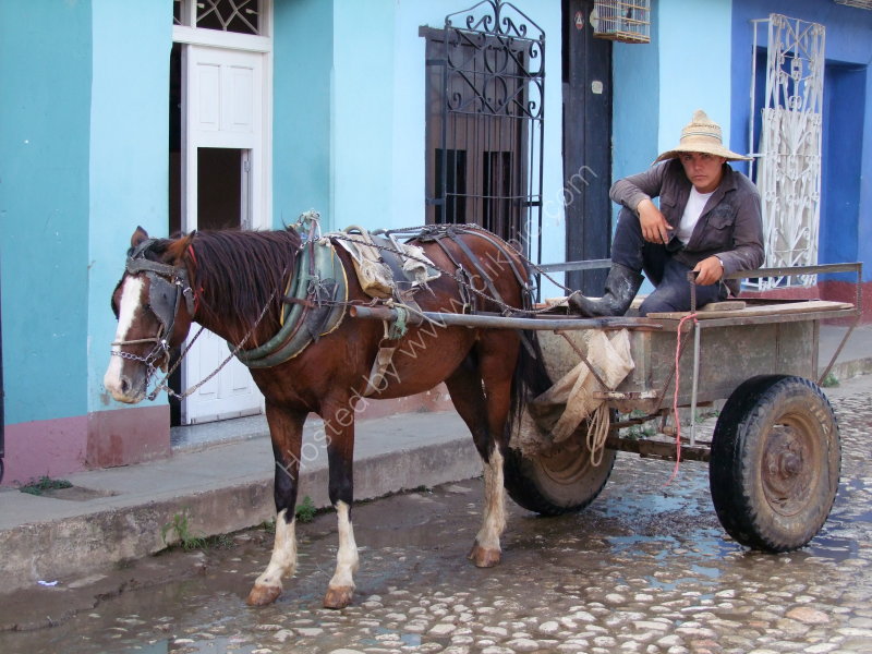 Cuban with Horse & Cart, Trinidad
