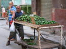 Cuban Plantain Seller