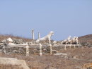 Terrace of the Lions, Island of Delos