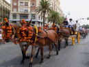 Horse Drawn Carriage, Malaga Festival