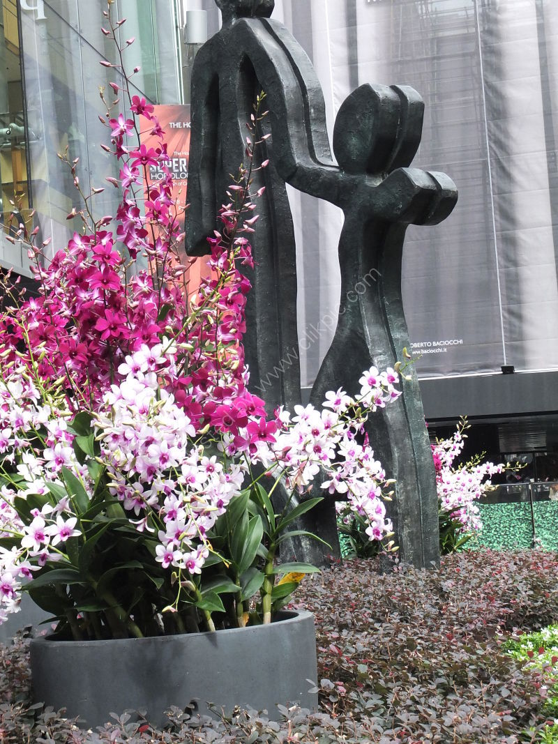 Orchids, Orchard Road, Singapore