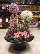 Tropical Flowers