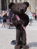 Bear Costume at Gay Festival, Parisa Platz, Berlin