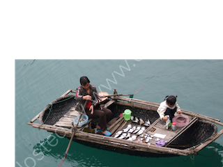 Oyster Fishing Boat in Halong Bay