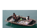 Oyster Fishing Boat in Halong Bay