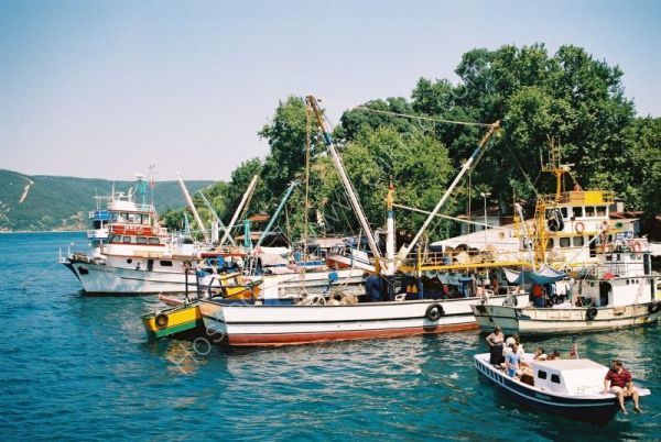 Fishing Boats on the Bosphorus, Turkey