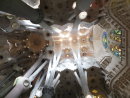 Interior Roof Detail, La Sagrada Familia