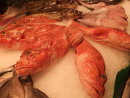 Fresh Fish