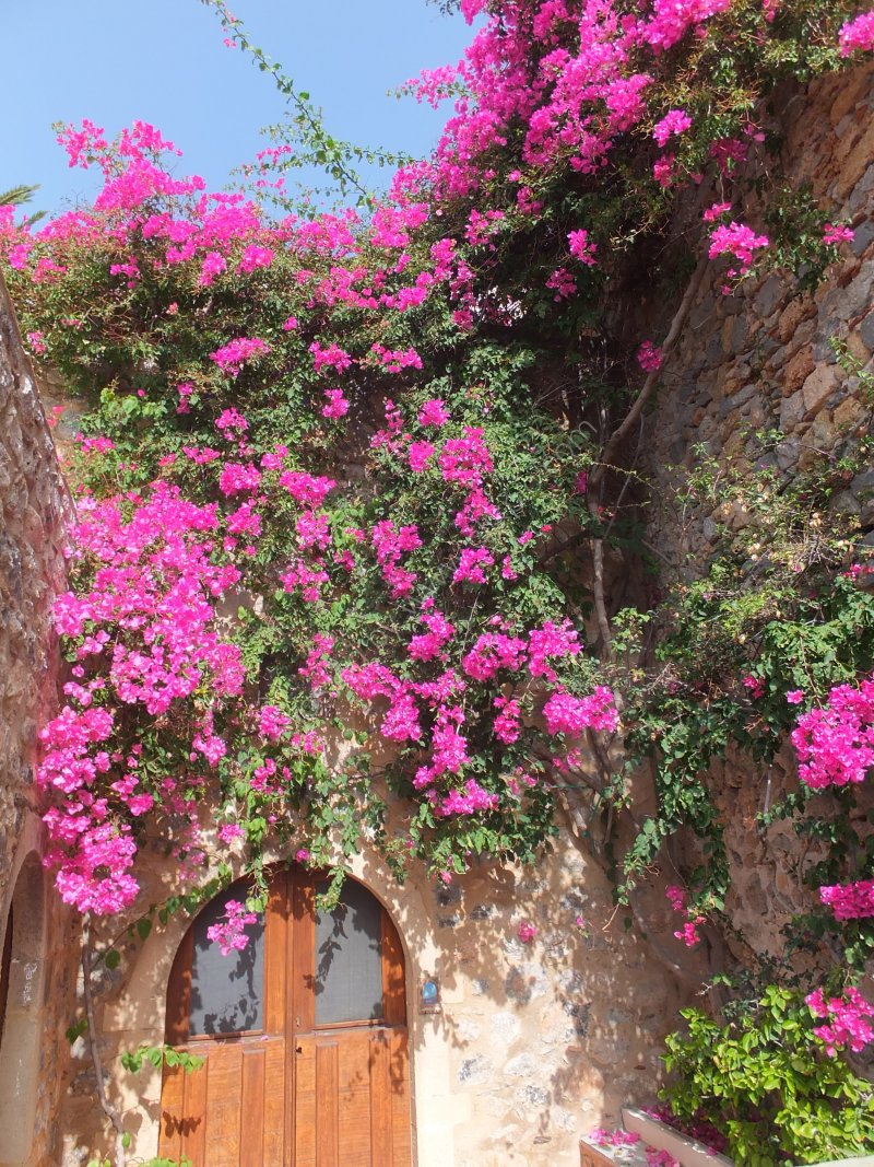 House & Forna, Medieval Town of Monemvasia
