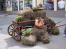 Display t Moscow Festival