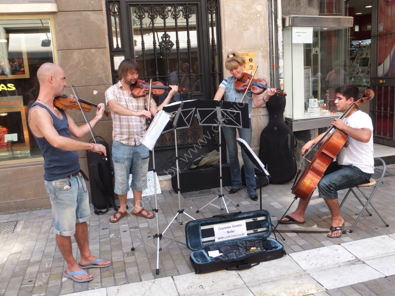 Musicians