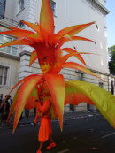 Flower Costume