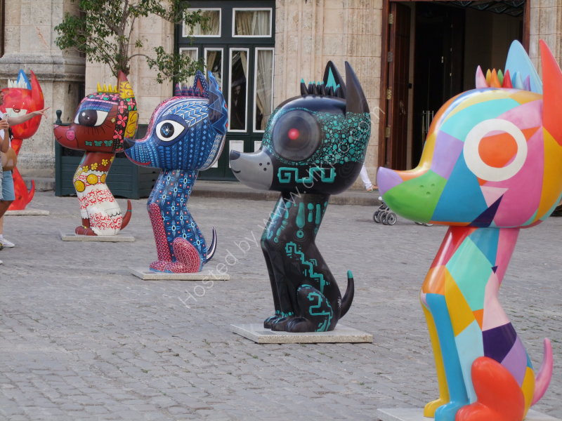 Cool Cats! Plaza San Fransisco, Havana