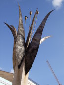 Flower Sculpture, Plaza Vieja, Havana