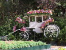 Stag Coach Flower Display