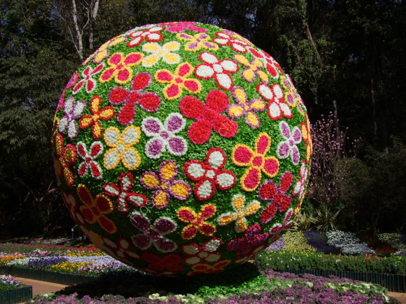 Flower Ball Display