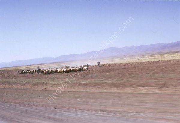 Iranian Shepherds between Tehran and Turkish Border