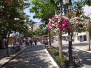 Side Street, Estepona