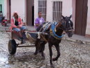Horse & Cart, Trinidad