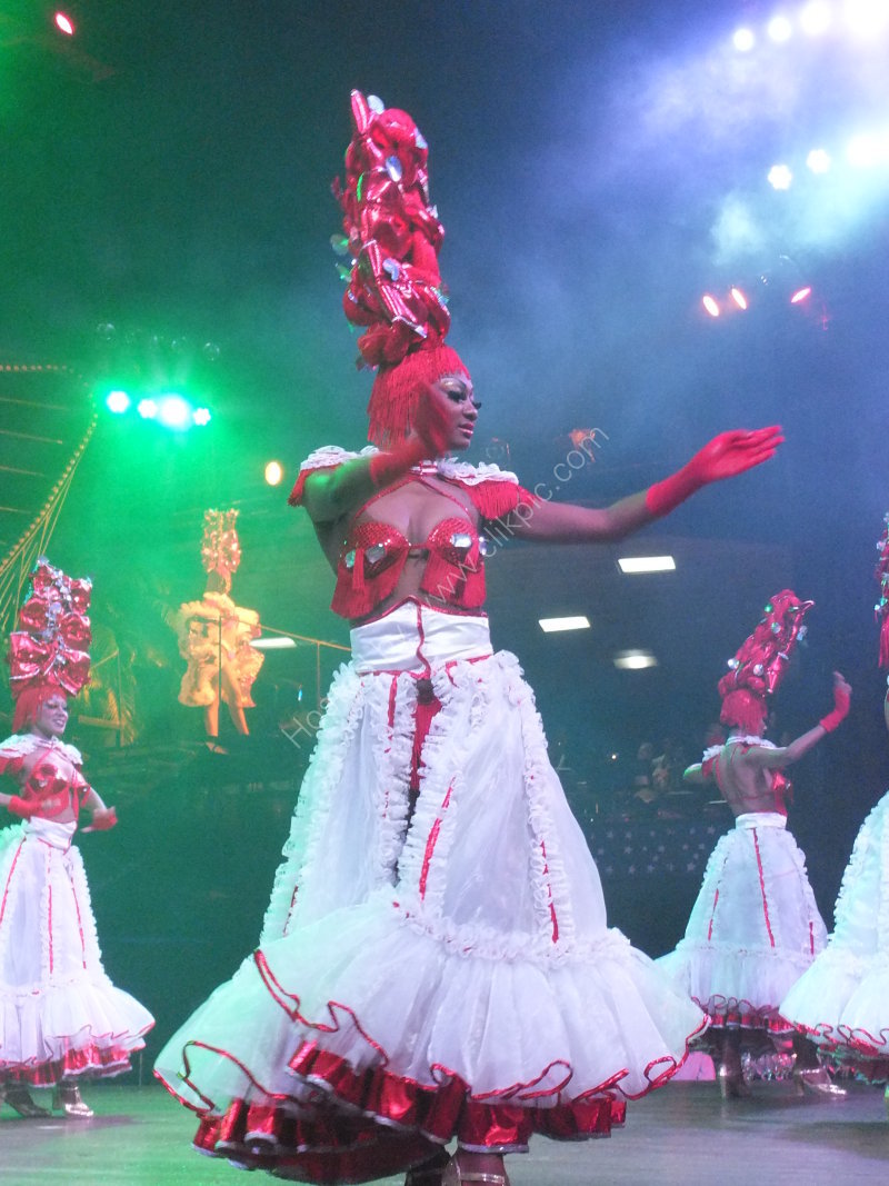 New Years Eve Tropicana Show