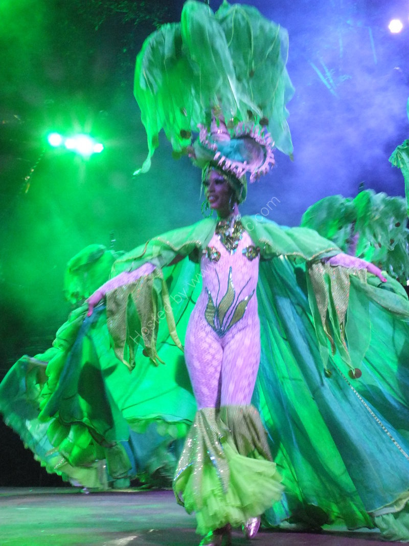 New Years Eve Tropicana Show