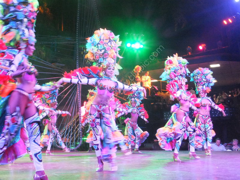 New Years Tropicana Show