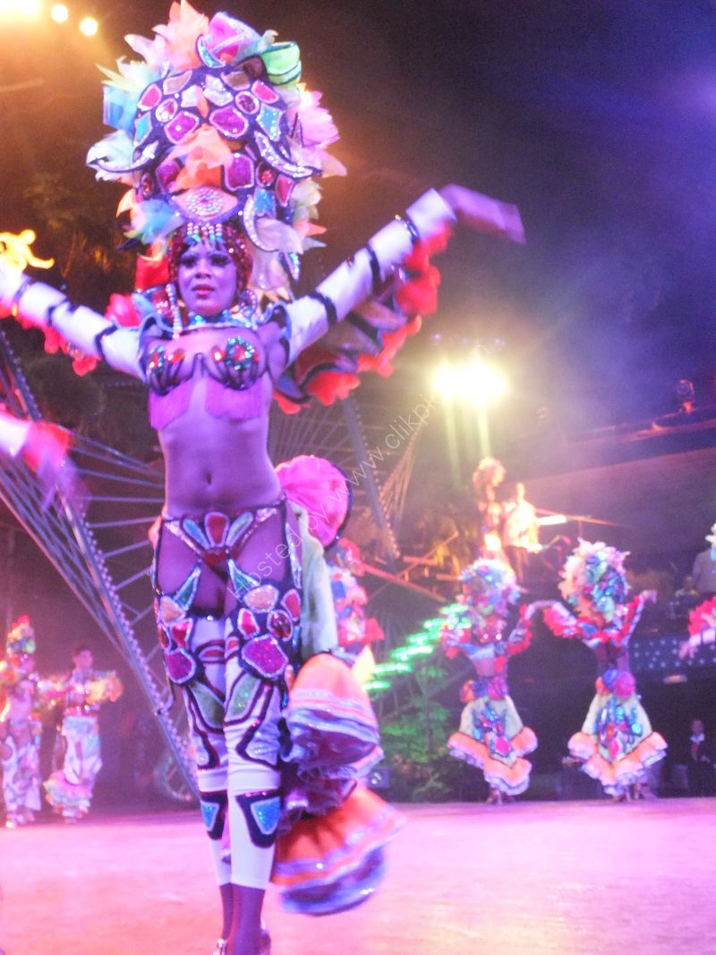 New Years Eve Tropicana Show