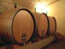 Wine Storage, Tuscany