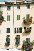 Houses, Lucca, Tuscany